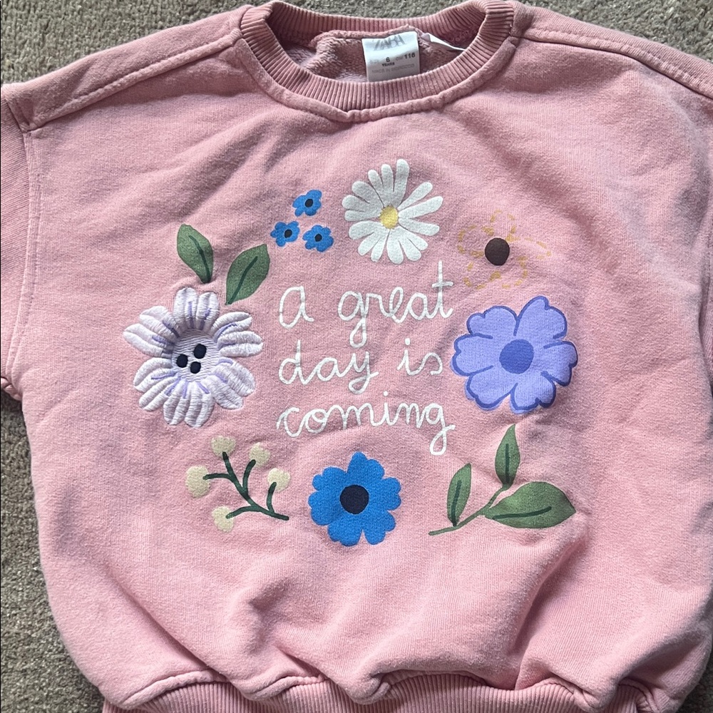 Zara Pink Sweatshirt size 6Y